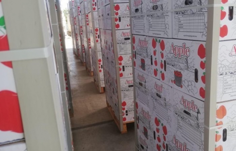 ERDOĞANLAR, ELMA İHRACATI İLE RUSYA PAZARINDA