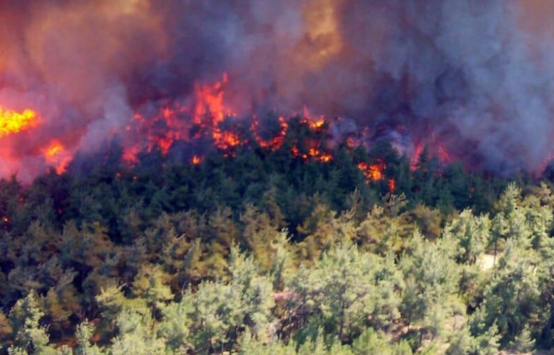 Gelibolu, Yangına Felaketinin Eşiğinden Döndü
