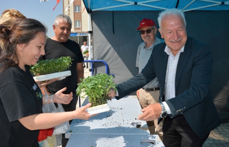 LAPSEKİ BELEDİYESİ 51 BİN DOMATES FİDESİ DAĞITTI