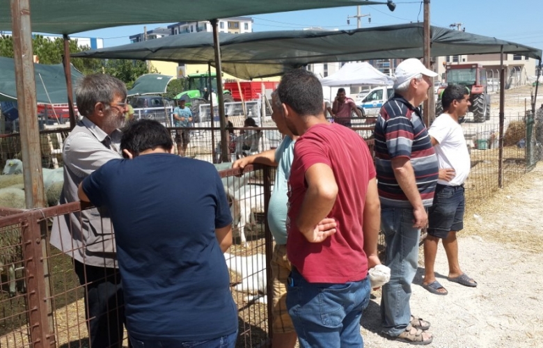 KURBAN'DA YOK, KURBAN KESEN' DE 