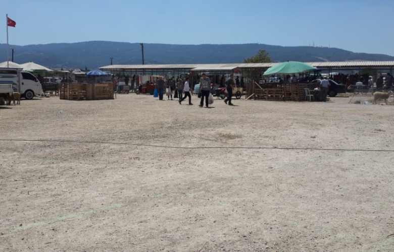 KURBAN'DA YOK, KURBAN KESEN' DE 