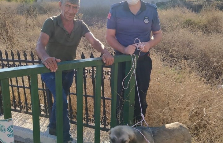 DEREYE DÜŞEN KÖPEĞİ AYVACIK BELEDİYESİ EKİBİ KURTARDI