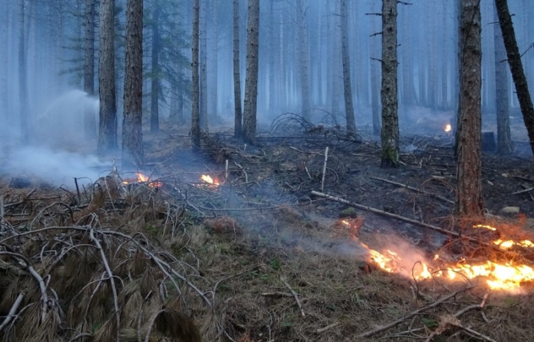 KAZDAĞLARINDA 80 HEKTAR YANDI!
