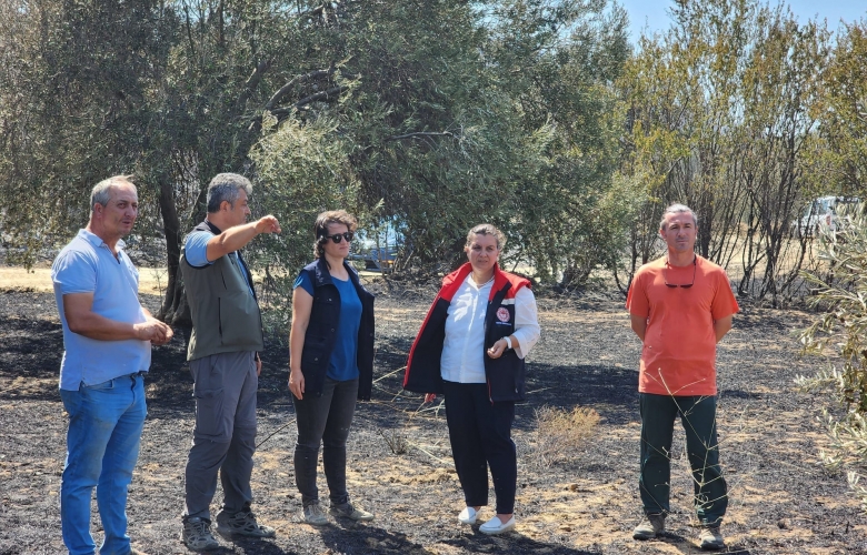 Büyükanafarta Köyü'ndeki Yangın Sonrası Tarım Arazilerini İnceledi