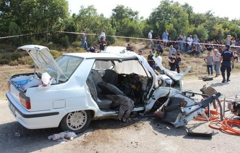 AŞIRI HIZ VE DİKKATSİZLİK YİNE CANLARIN YOK OLMASINA NEDEN OLDU