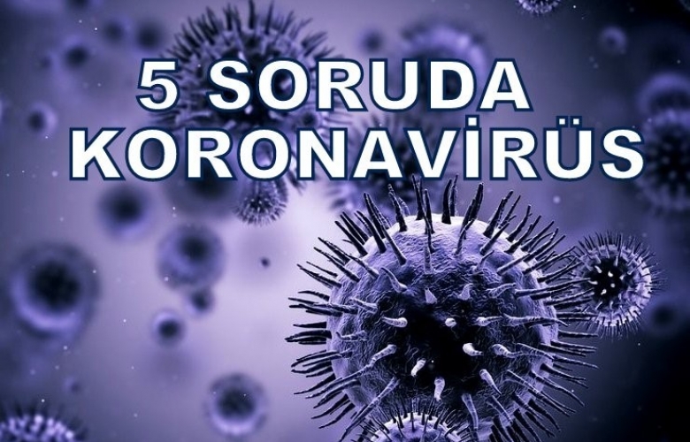 5 SORUDA KORONAVİRÜS