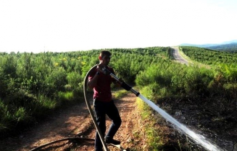 Orman yangını büyümeden söndürüldü