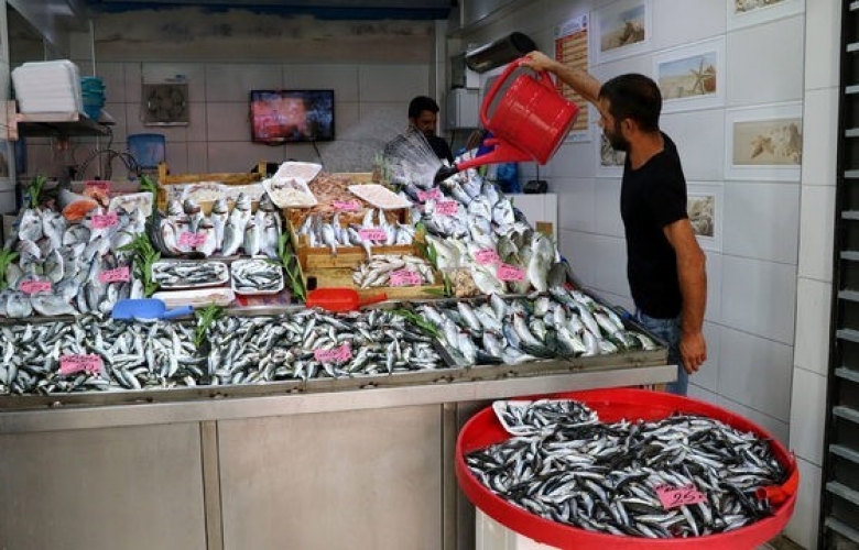 AV YASAĞI SONA ERDİ, BALIK FİYATLARI DÜŞTÜ        