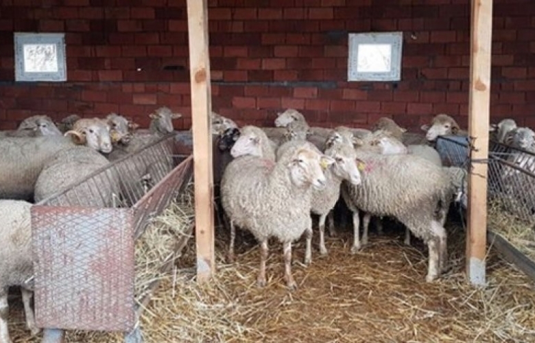 ÇANAKKALE’ Lİ VATANDAŞLAR KURBAN BAYRAMI ÖNCESİ TEDİRGİN