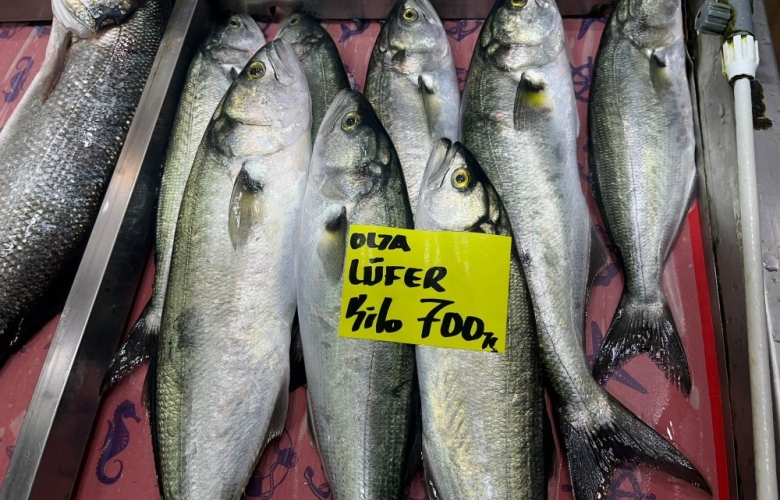 Çanakkale'de Lüfer Balığı Fiyatlarında700 TL’ye kadar çıktı