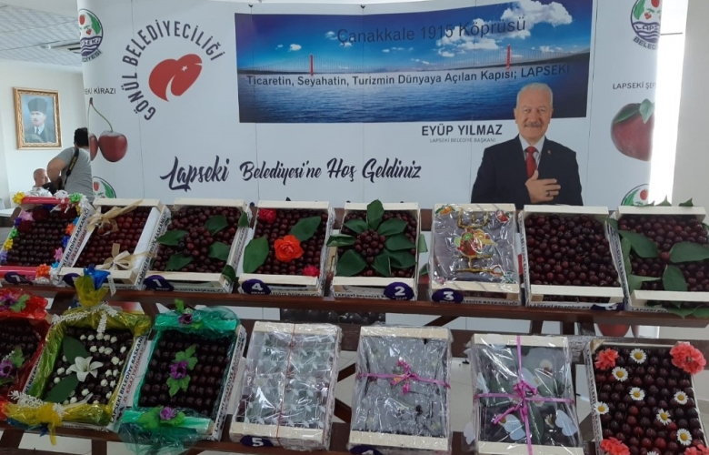 LAPSEKİ’ NİN DEV  KİRAZLARI BİRİNCİLİK İÇİN YARIŞTI
