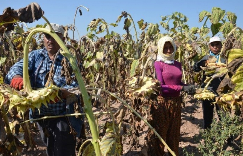 CHP MİLLETVEKİLİ CEYLAN KÖYLERİ ZİYARET ETTİ