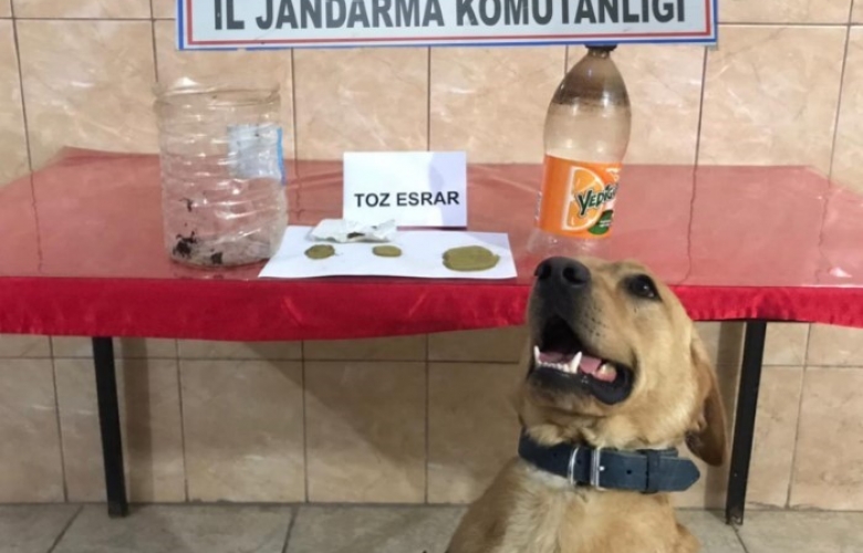 UYUŞTURUCU SATICILARINA ORTAK OPERASYON