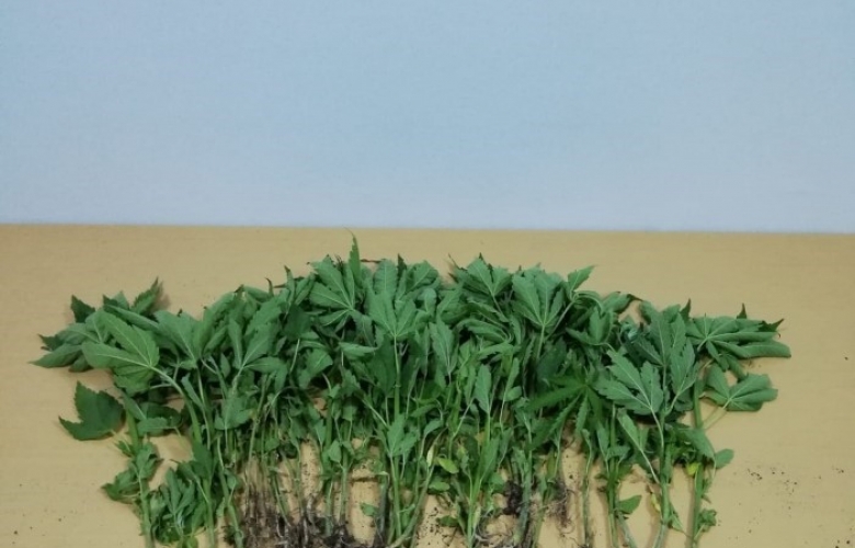 JANDARMA' DAN FOTOKAPANLI OPERASYON