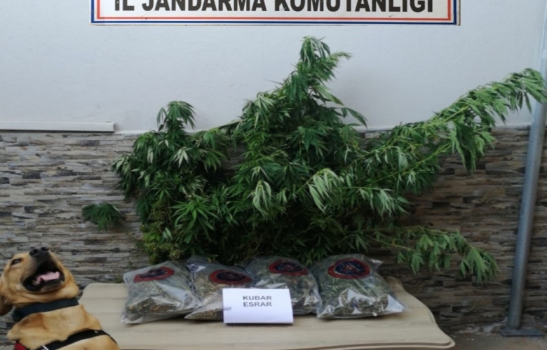 OPERASYONDA EMNİYET KÖPEĞİ ROKET, UYUŞTURUCUYU BULDU