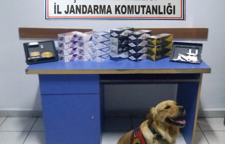 JANDARMA’DAN GÖKÇEADA’ DA KAÇAK SİGARA OPERASYONU