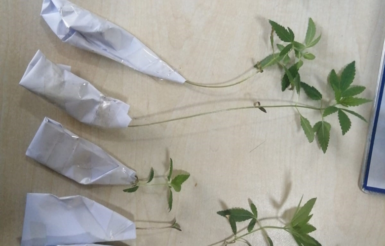 ÇANAKKALE İL EMNİYET MÜDÜRLÜĞÜ EKİPLERİ UYUŞTURUCU SATICILARINA GÖZ AÇTIRMIYOR