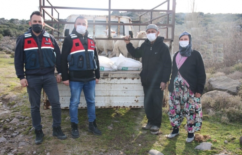 HAYVAN HIRSIZLARI KISKIVRAK YAKALANDI