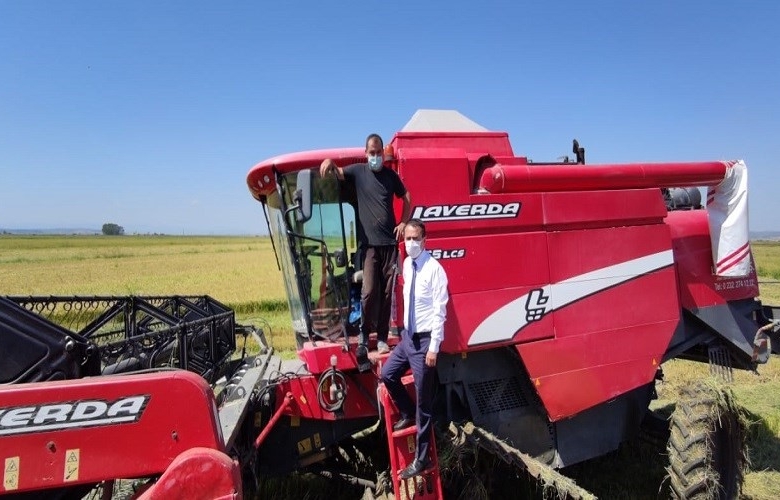 BİGA İLÇESİNDE YILIN İLK ÇELTİK HASADI VALİ  AKTAŞ’IN KATILIMIYLA GERÇEKLEŞTİRİLDİ