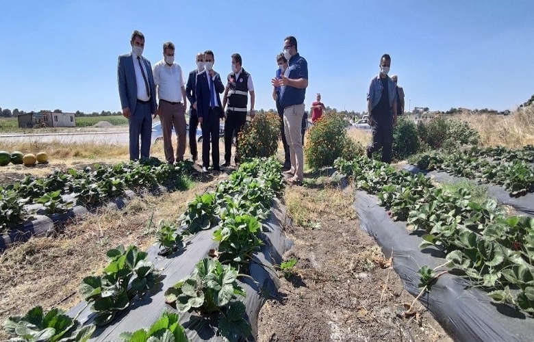 BİGA KADIN ÇİFTÇİLERDEN ÇİLEKLİ BAHÇELER PROJESİ