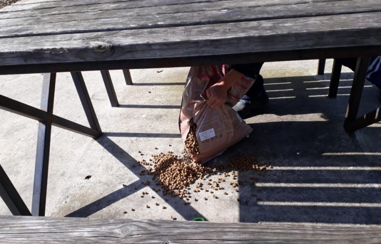 BİGA’ DA SOKAK HAYVANLARI YALNIZ DEĞİL