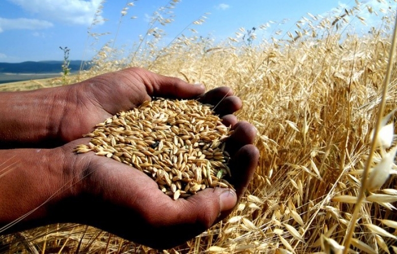 CEYLAN “ÇİFTÇİ ÜRETEMEZ HALE GELDİ”