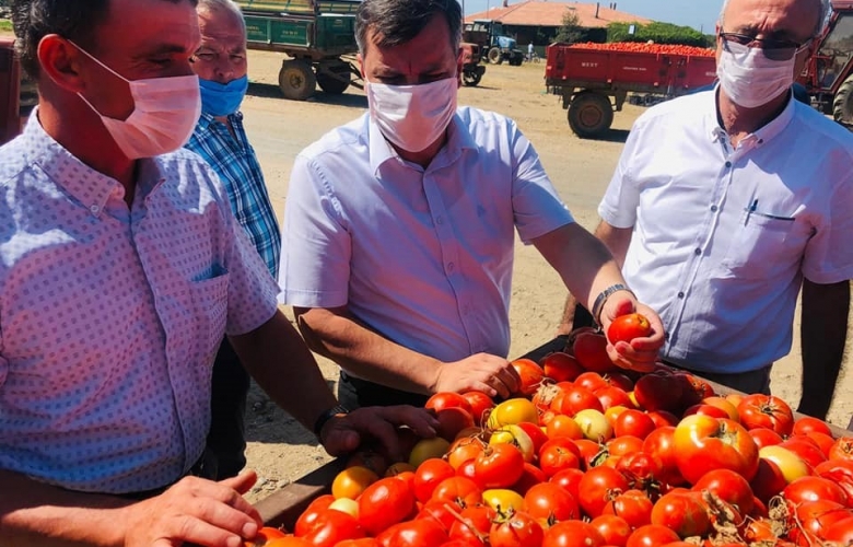 CEYLAN "ÇANAKKALE DOMATESİ TARLADA 70 KURUŞ PAZARDA 6 LİRA "