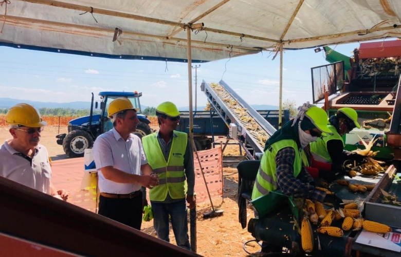 CEYLAN: “DOMATES BU SENE DE TARLADA KALDI”