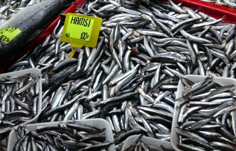 BALIK AV YASAĞI GELD, HAMSİNİN KİLOSU 100 LİRAYA ÇIKTI