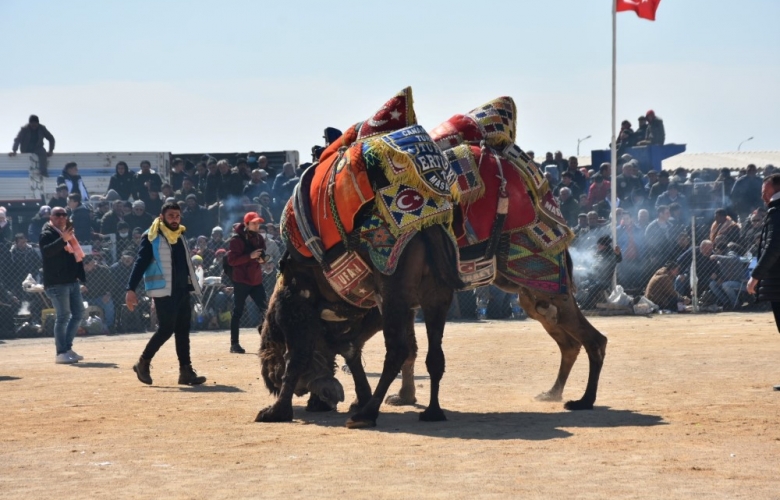 9. TURUVA DEVE GÜREŞLERİ BÜYÜK HEYECANA SAHNE OLDU
