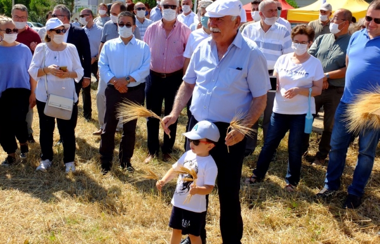 KARAKILÇIK BUĞDAY HASADI YAPILDI