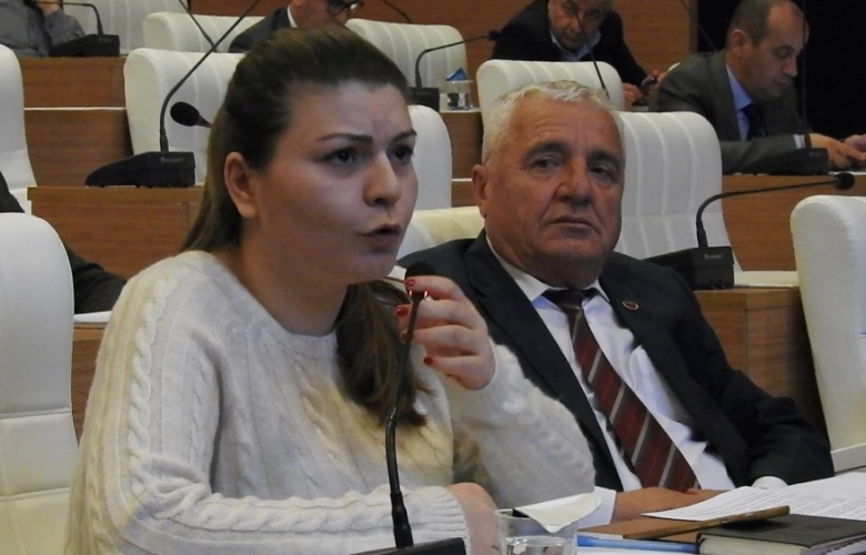 İL GENEL MECLİSİ ŞUBAT AYI İLK OTURUMUNA GÜNEŞ PEHLİVAN DAMGA VURDU