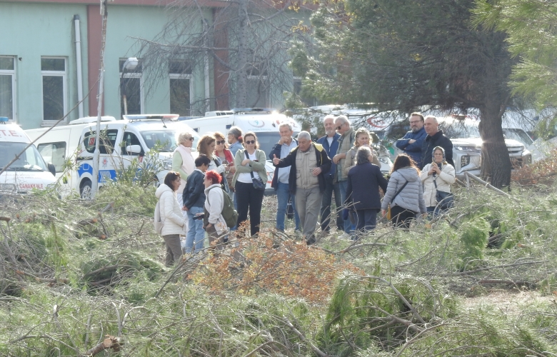 Vatandaşlar Ağaç Kesimlerine Büyük Tepki Gösterdi