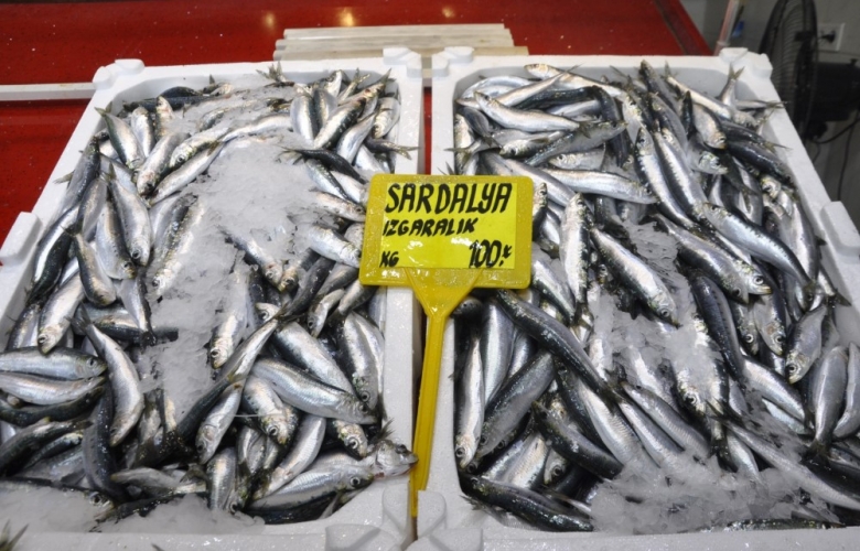 Av Yasağı Kalktı, Balık Fiyatları Düştü