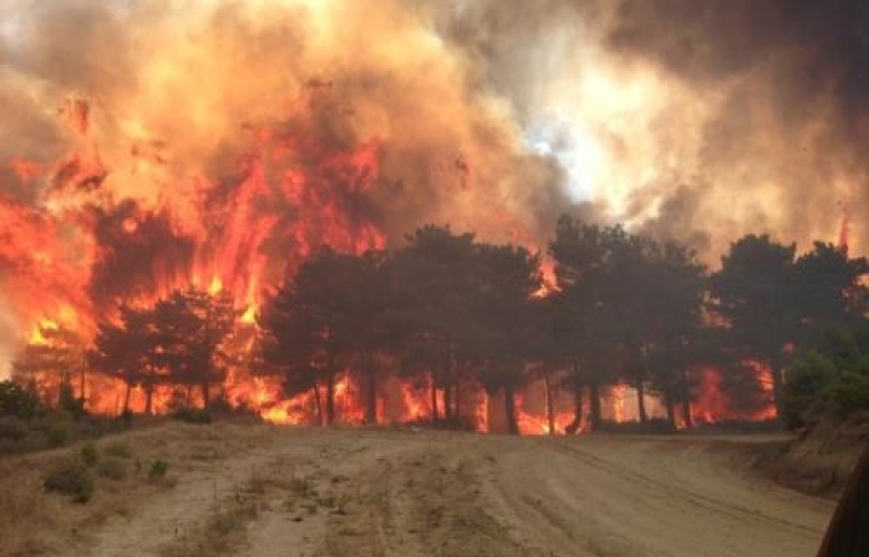 GELİBOLU YARIMADASINDA 450 HEKTAR ALAN KÜL OLDU