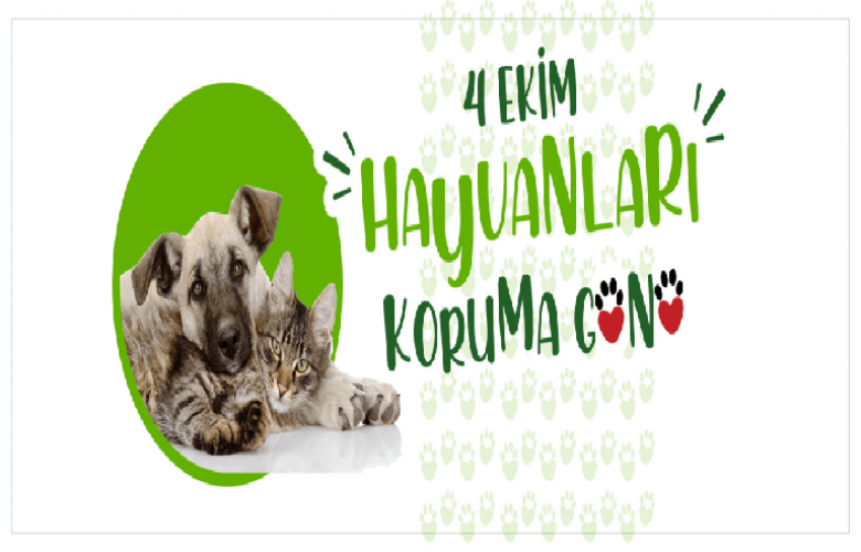 GÖKHAN'IN 4 EKİM HAYVANLARI KORUMA GÜNÜ MESAJI