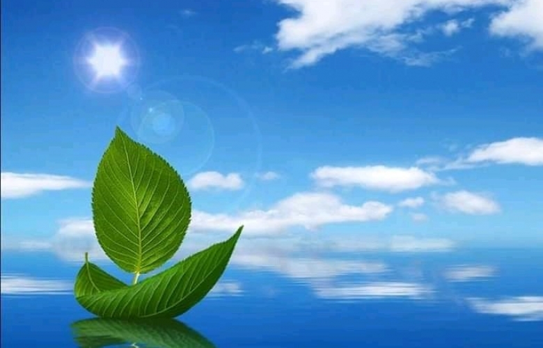 İNSANIN HAYAT HİKÂYESİ ONUN İNANÇLARI VE TELAŞLARININ HİKÂYESİDİR