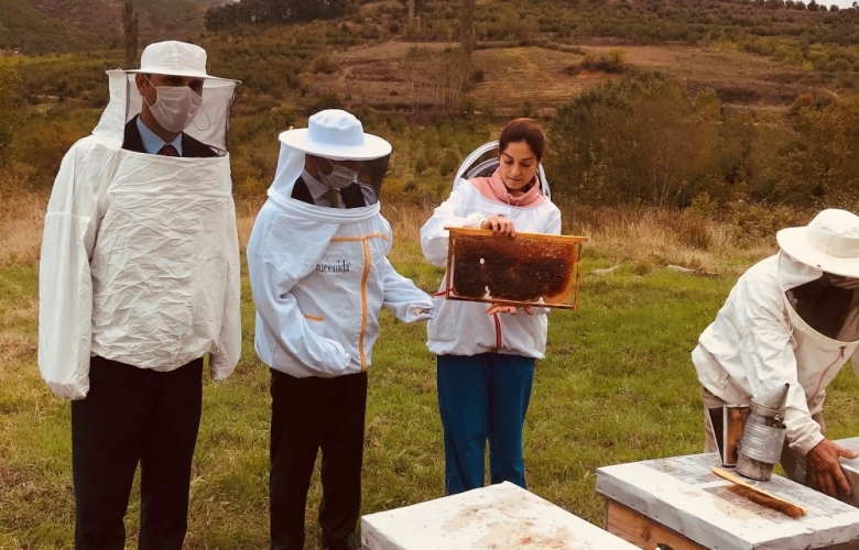 VALİ AKTAŞ ARICI KIYAFETLERİNİ GİYEREK KOVANLARDA İNCELEME YAPTI