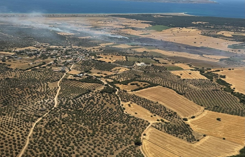 Yangınlarda 952 Futbol Sahası Büyüklüğümdeki Alan Yok Oldu