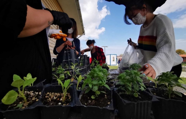 YEREL TOHUMLARDAN ÜRETİLEN FİDELERE YOĞUN  İLGİ