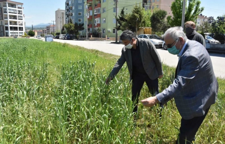 GÖKHAN KARAKILÇIK BUĞDAYI EKİLEN ALANLARI İNCELEDİ