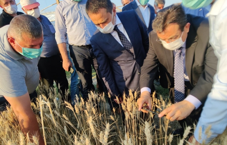 VALİ AKTAŞ, DOLU YAĞIŞINDA ZARAR GÖREN BÖLGELERİ YERİNDE İNCELEDİ