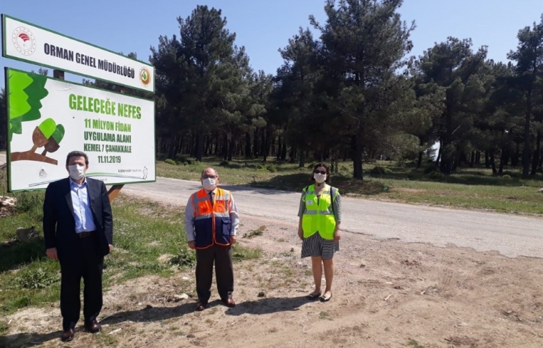 VALİ TAVLI, KEMEL KÖYÜ FİDAN DİKİM ALANINDA İNCELEMELERDE BULUNDU