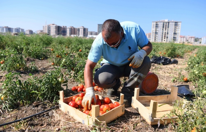 ÇANAKKALE BELEDİYESİNDEN YENİ PROJE “ATALARDAN TOPRAĞA, TOPRAKTAN SOFRAYA”