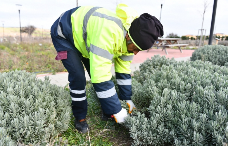 ÇANAKKALE BELEDİYESİ SERALARIMIZ RENGARENK